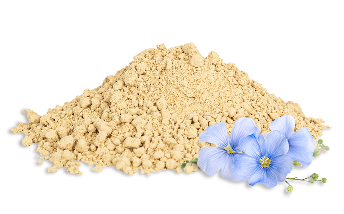 Goldleinmehl