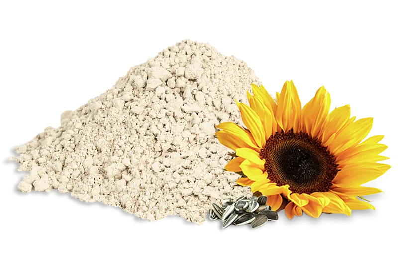 Sonnenblumenprotein